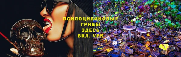 твердый Армянск