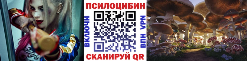 Псилоцибиновые грибы мицелий Петухово